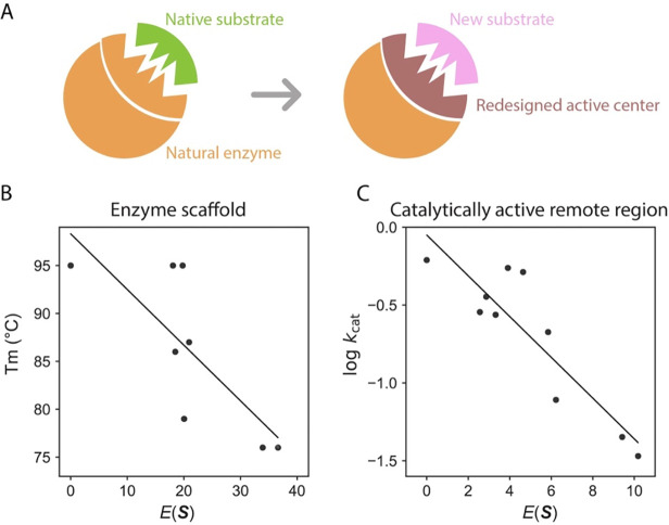 Fig 5.