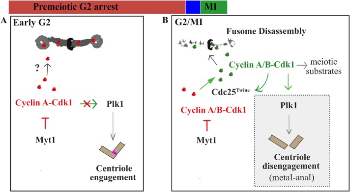 FIGURE 7: