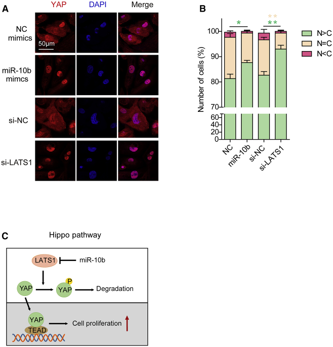 Figure 6