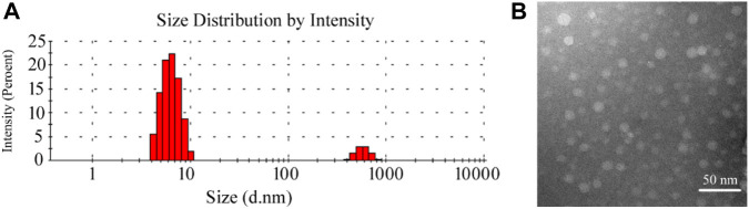 FIGURE 1