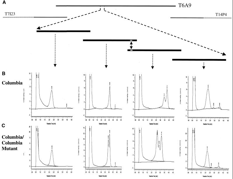 Figure 4.