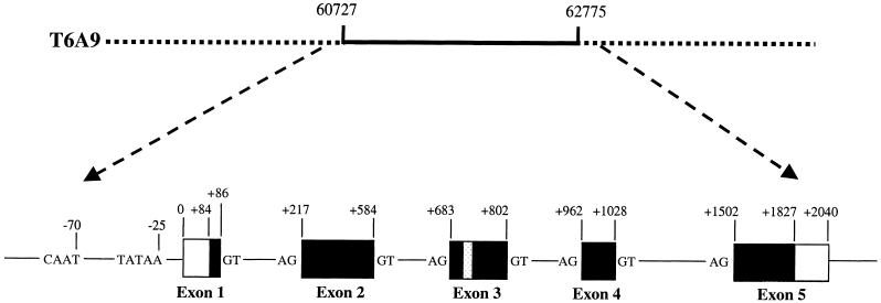 Figure 5.