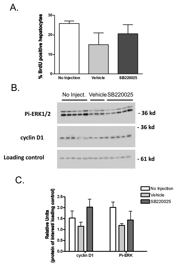 Fig 8