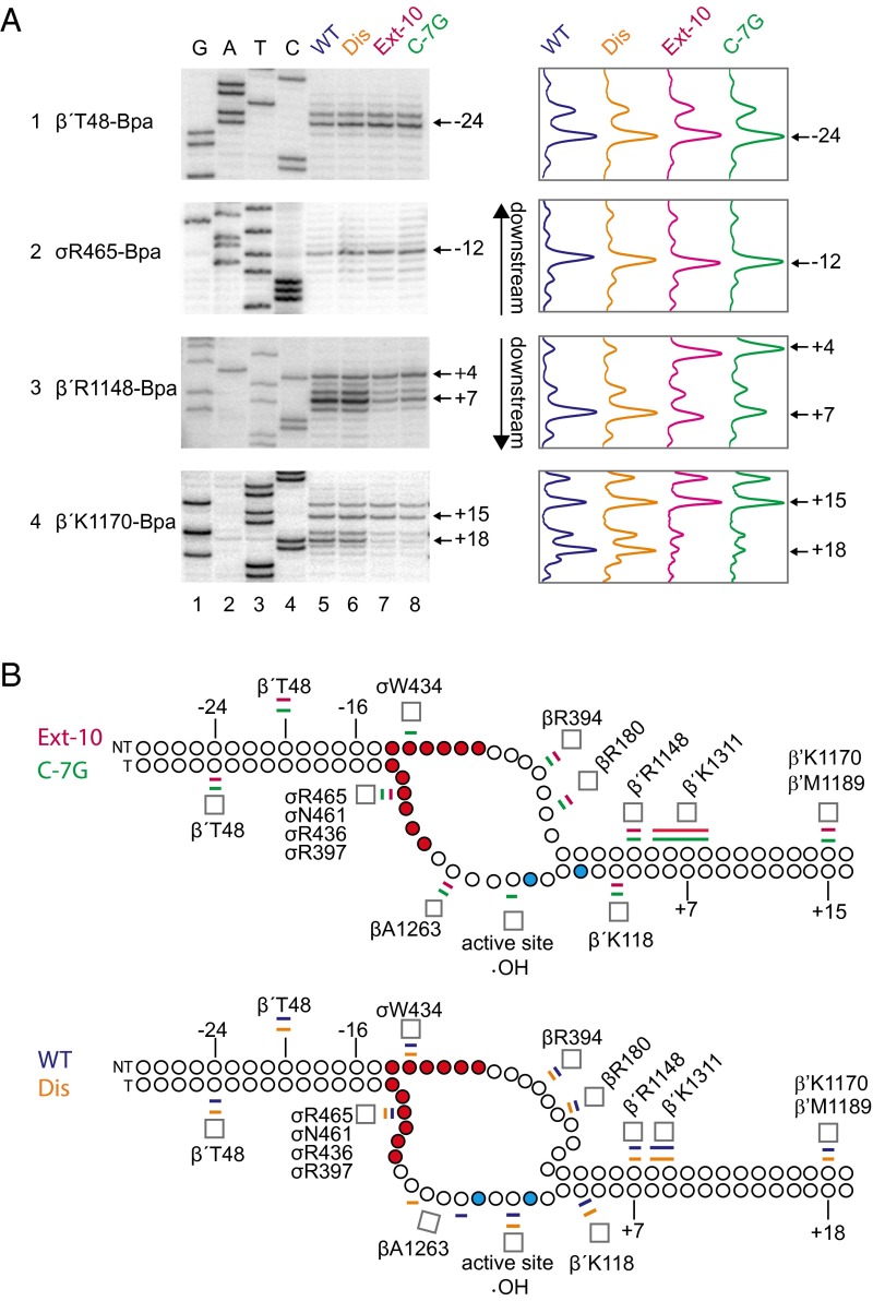 Fig. 4.