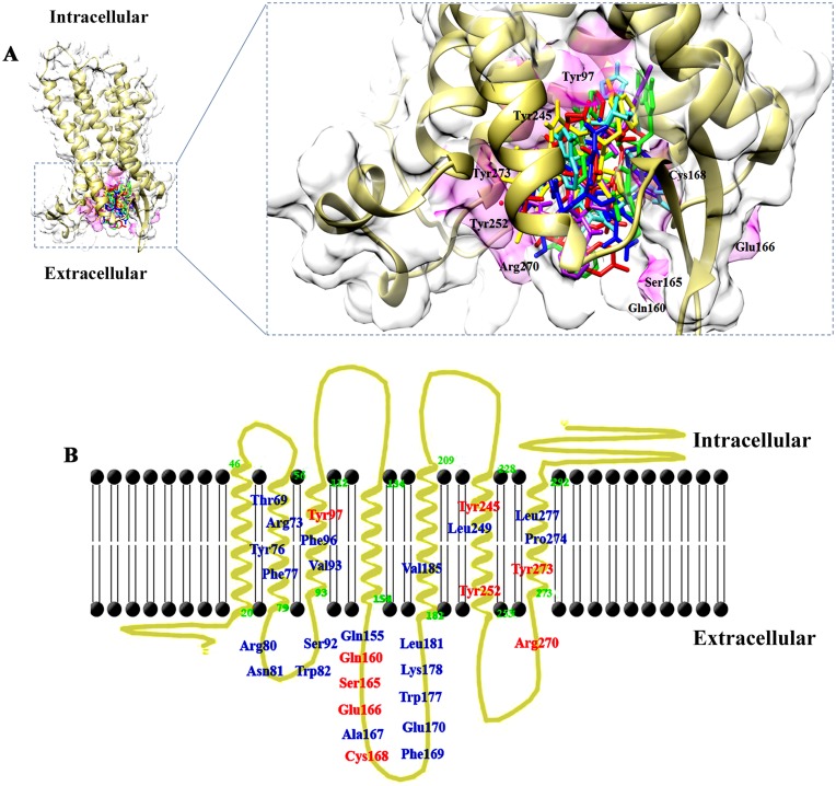 Fig 2