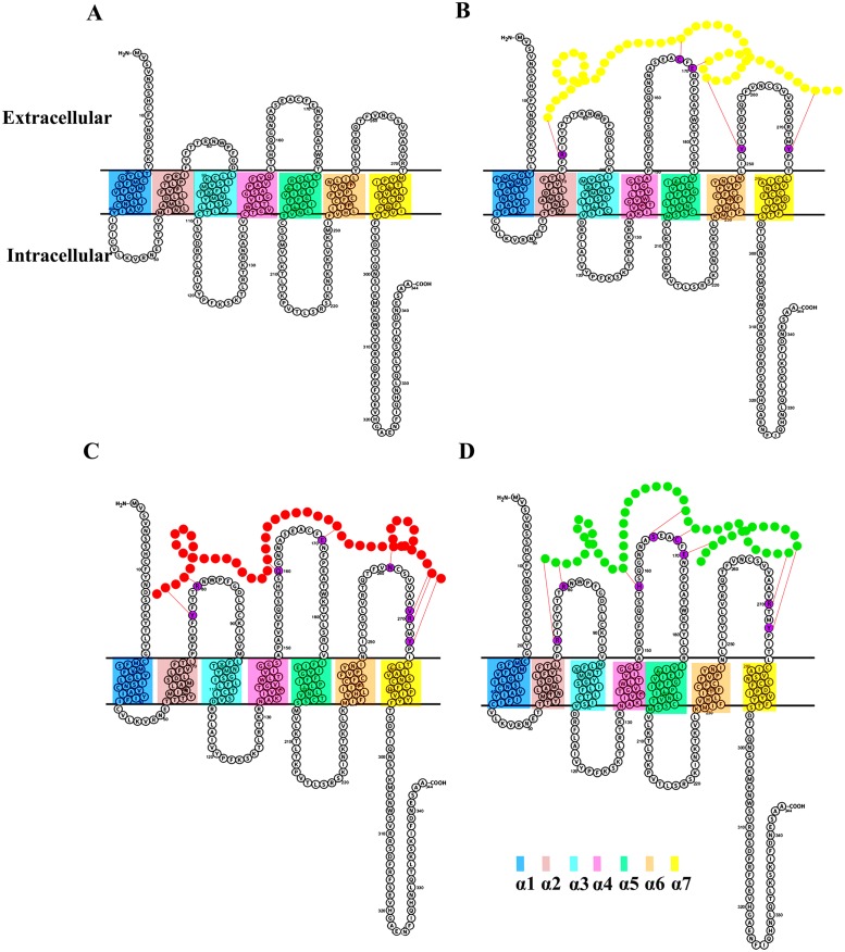 Fig 6