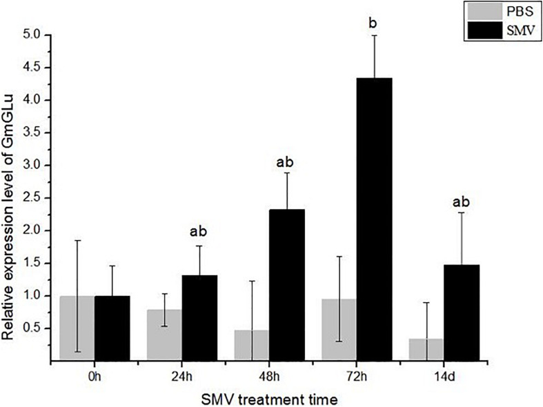 FIGURE 3