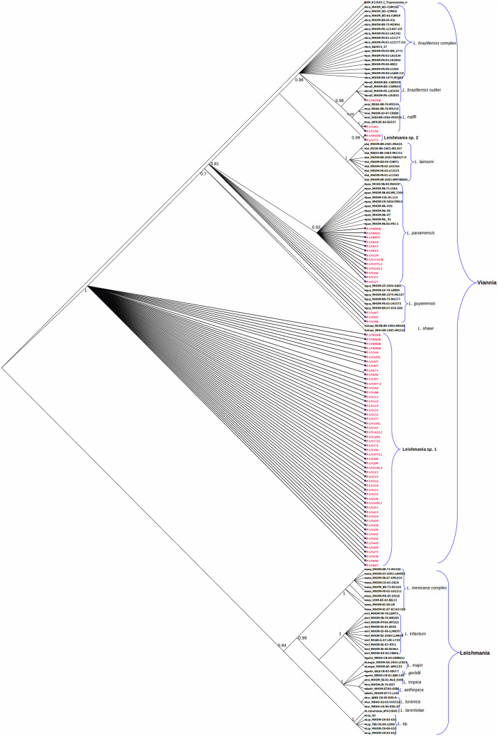 Figure 2.