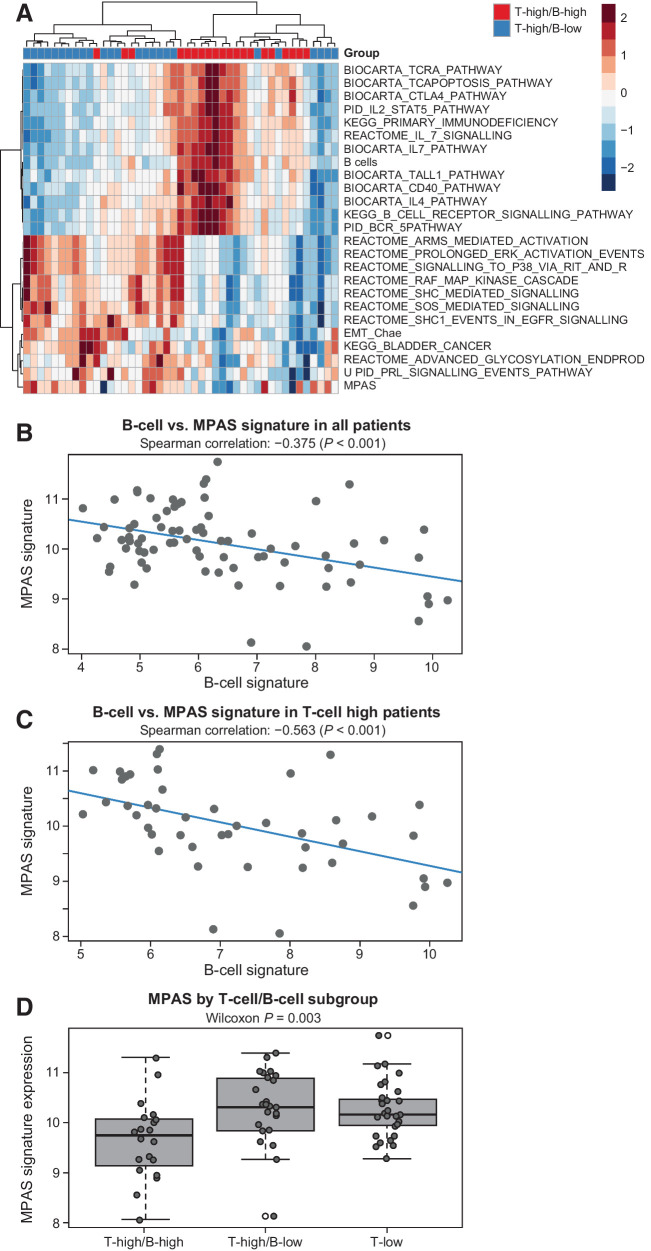 Figure 3. MPAS signature versus T-cell/B-cell GESs in COMBI-v. A, Upregulated (>0) and downregulated (<0) genes from pathway analysis in COMBI-v tumor samples by T-cell/B-cell subgroup; T-high/B-high (n = 20), T-high/B-low (n = 25). B, Correlation analysis of MPAS and B-cell signature in patients included in the biomarker cohort from COMBI-v (n = 76; P value was determined by Spearman correlation test) and (C) in patients with high T-cell signature (n = 45; P value was determined by Spearman correlation test). D, MPAS signature expression by T-cell/B-cell subgroup. A box plot shows median with interquartile range (P value was determined by two-sided Wilcoxon signed-rank test).