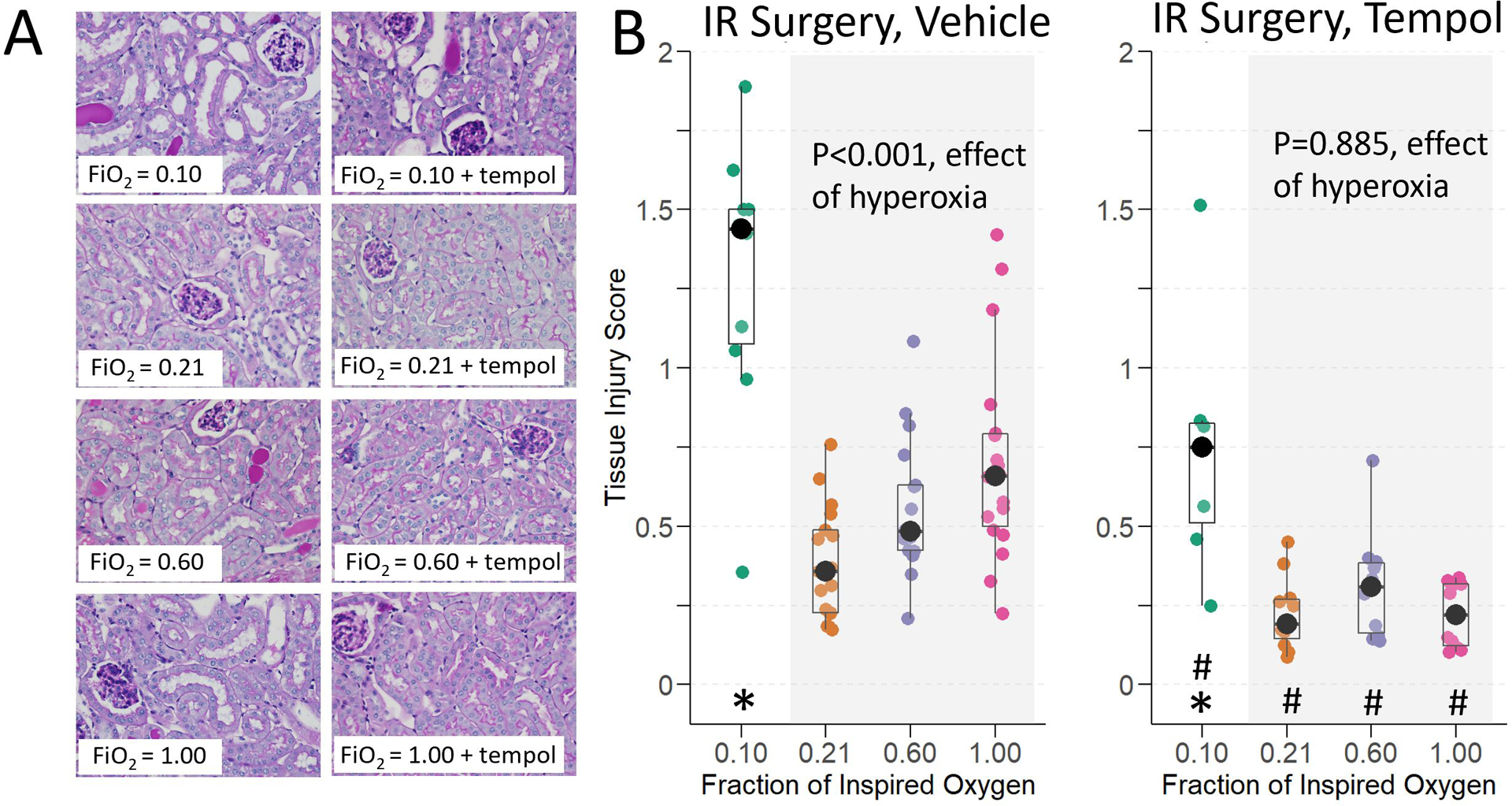 Figure 4: