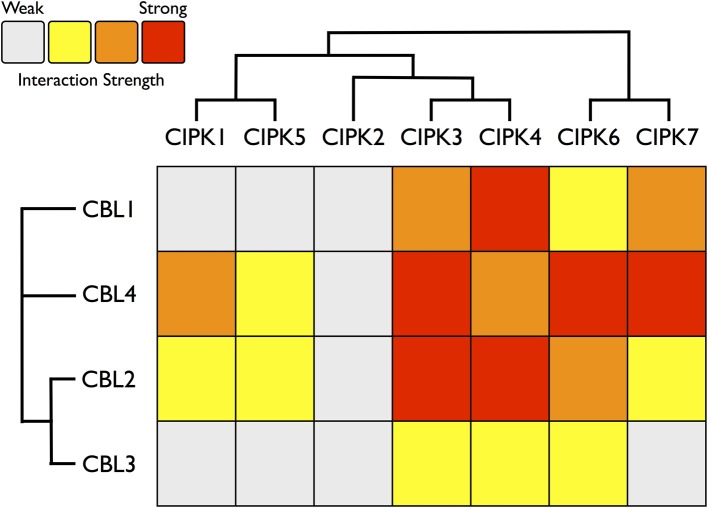 Figure 7