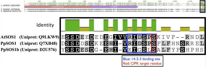 Figure 10