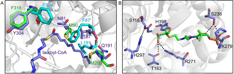 Fig. 10.