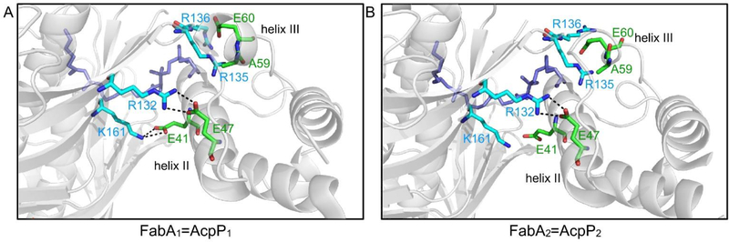 Fig. 13.