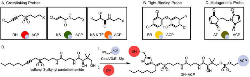 Fig. 7.