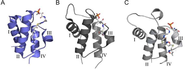 Fig. 6.