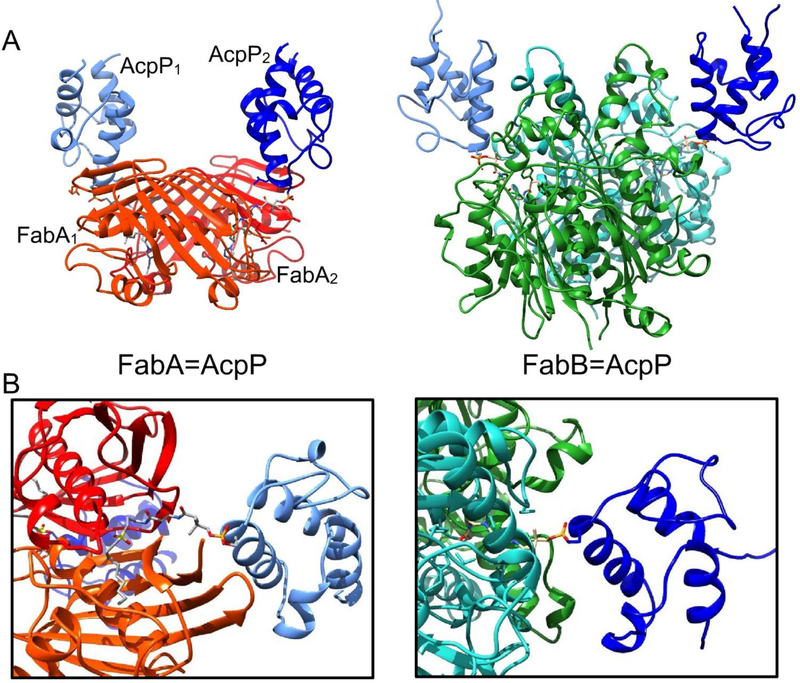 Fig. 12.