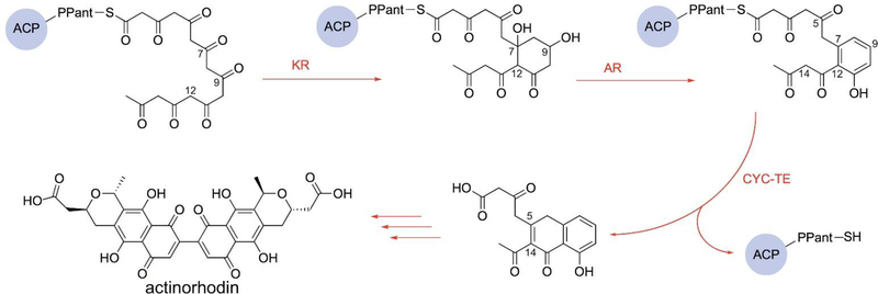 Fig. 5.