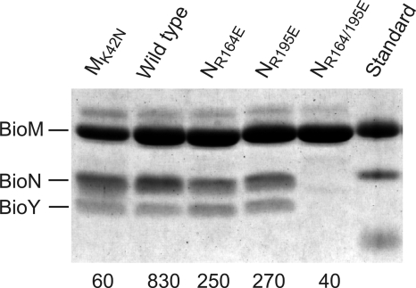 FIG. 6.