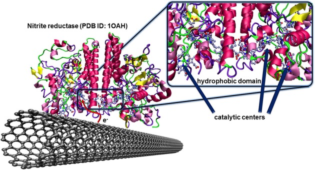 Figure 7