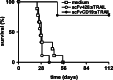 Fig. 6