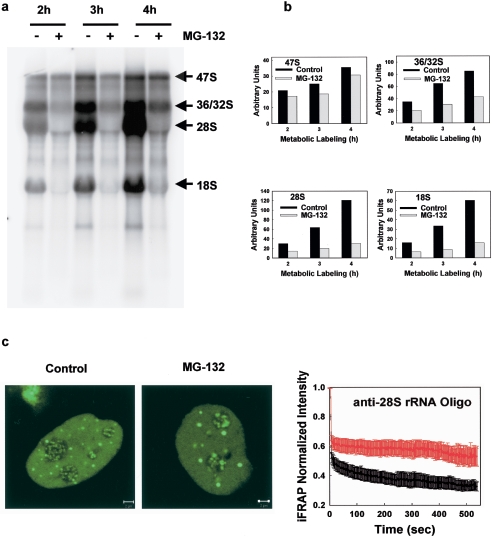 FIG. 8.