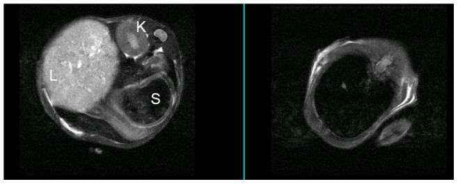 Figure 7