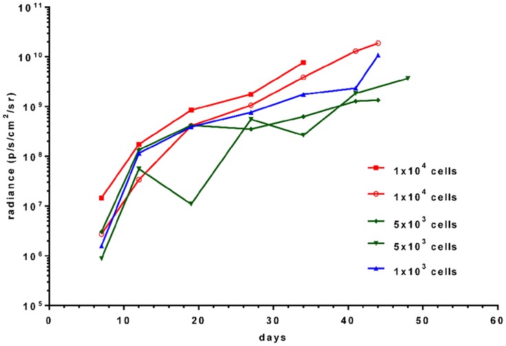 Figure 10