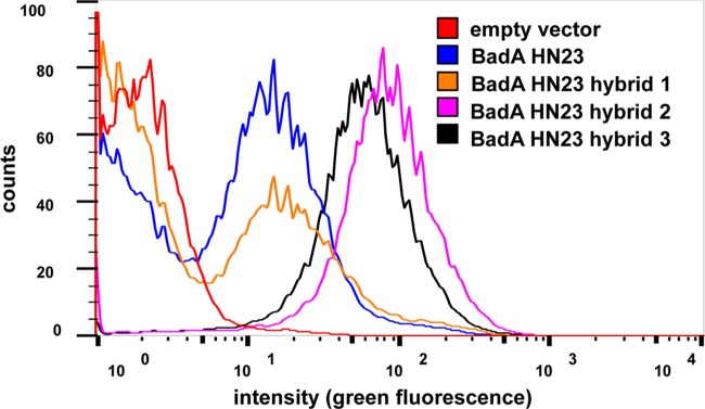 FIG 3