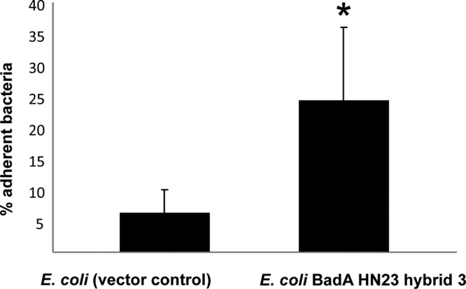 FIG 6