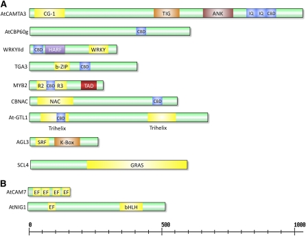 Figure 2.