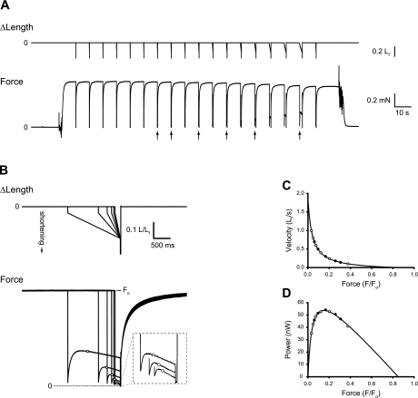 Fig. 1.