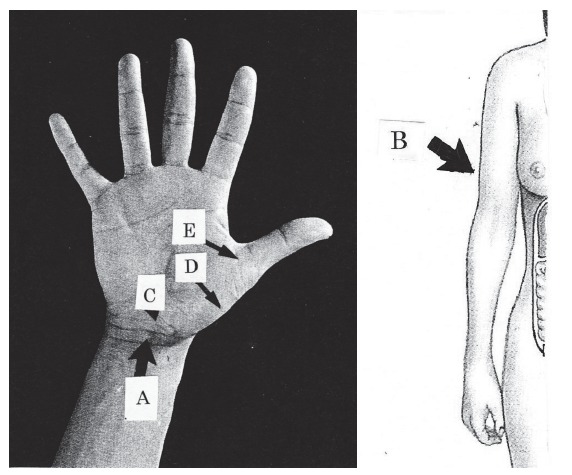 Figure2: