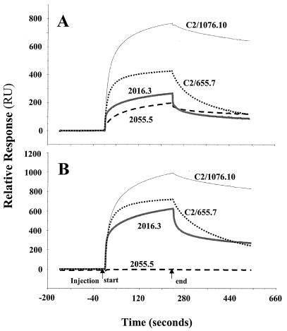 FIG. 2.