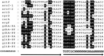 FIG. 5.