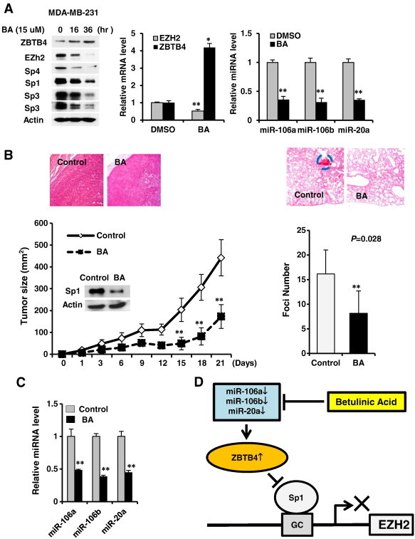 Figure 6