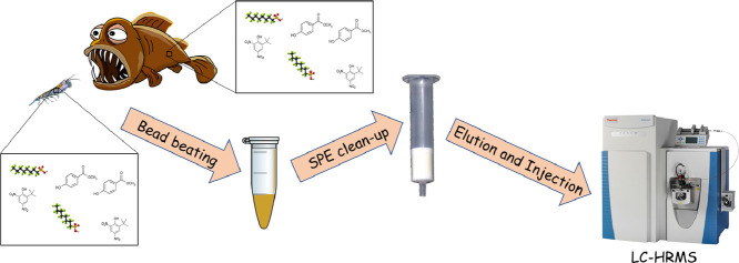 Image, graphical abstract