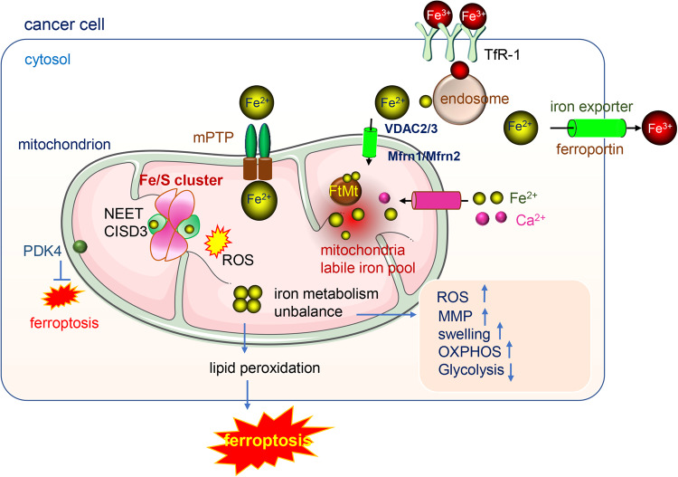 Fig. 2