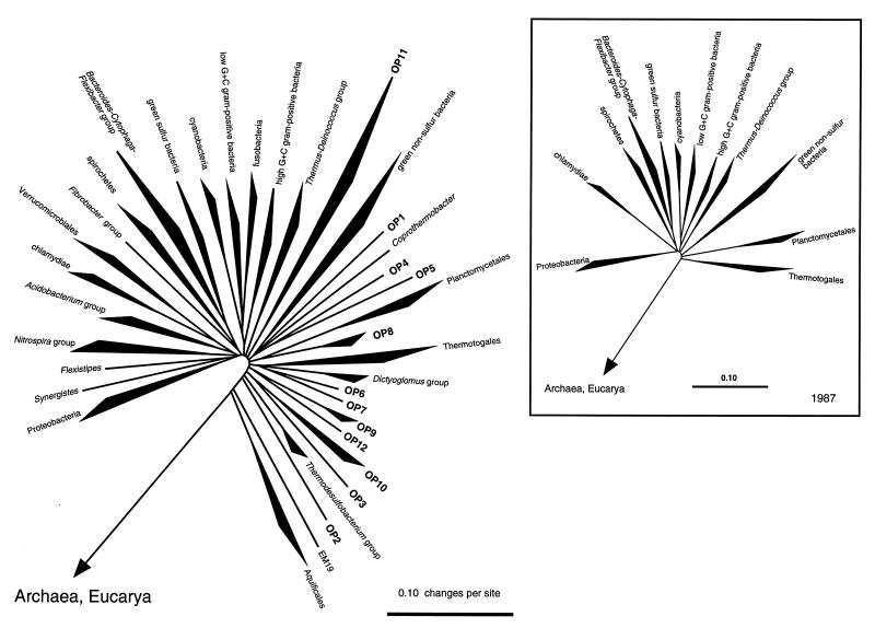 FIG. 6