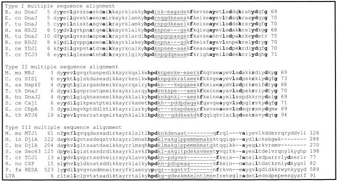 Fig 3.