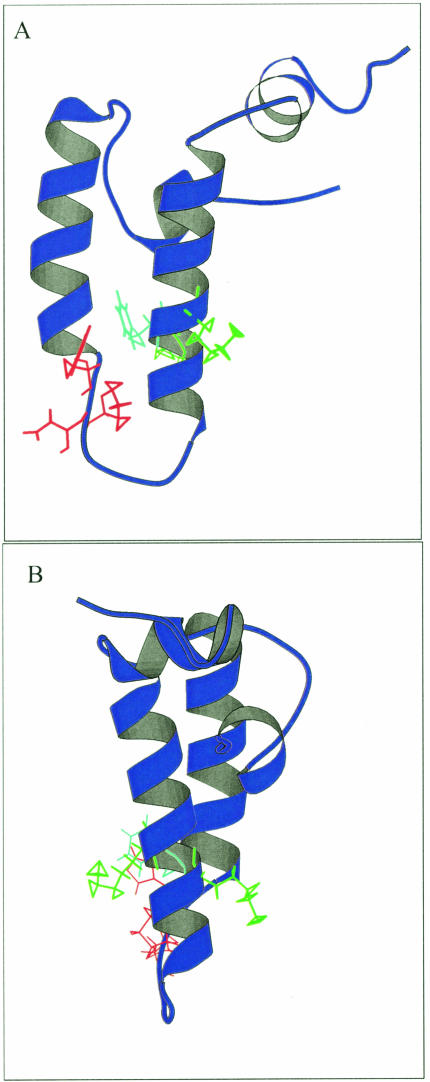 Fig 5.