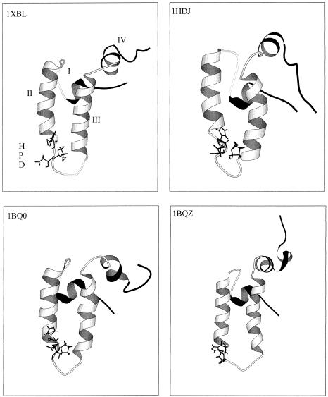 Fig 1.