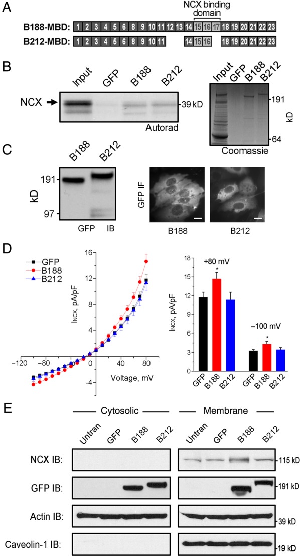 Figure 3