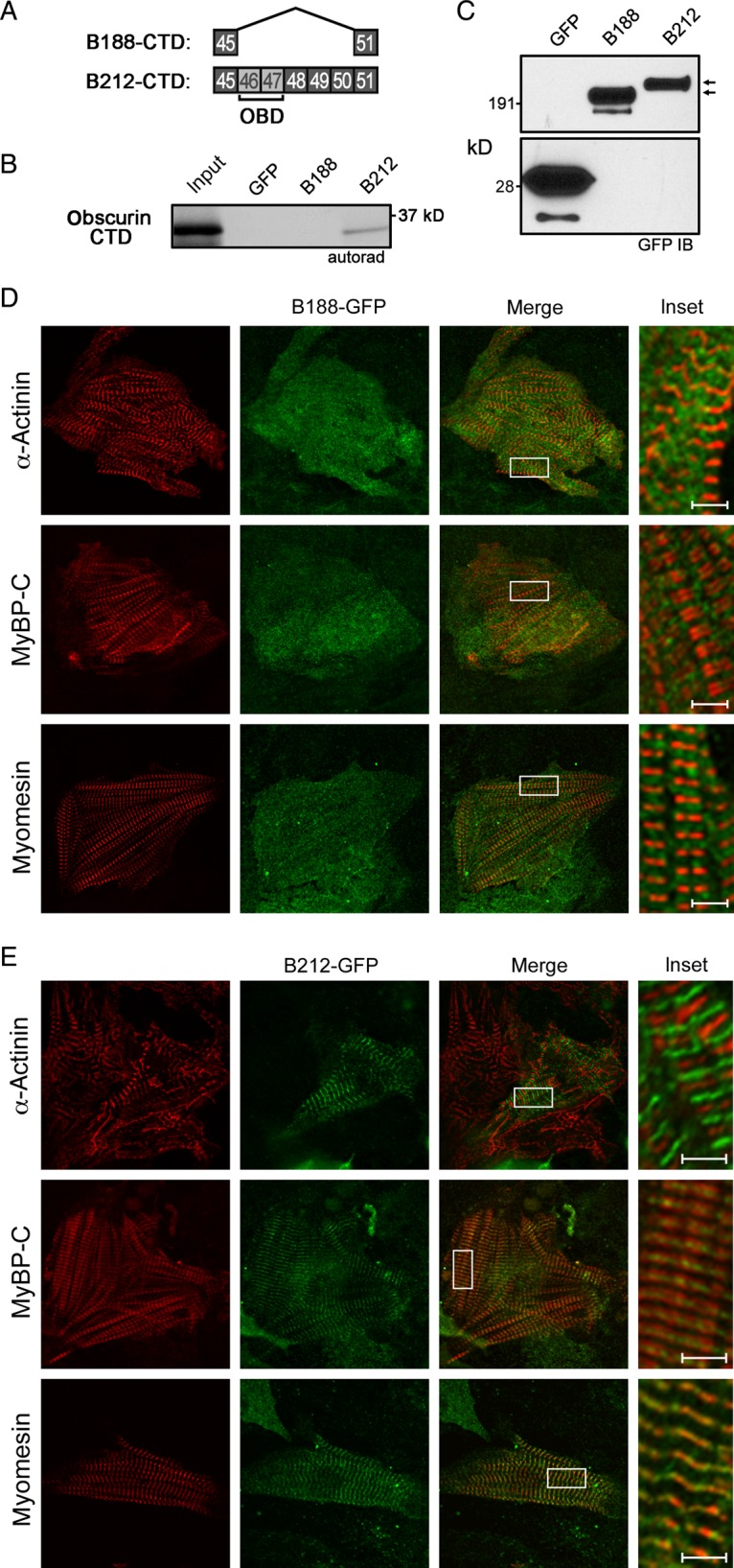 Figure 6