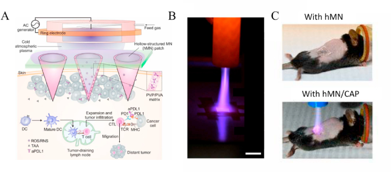 Fig. 2