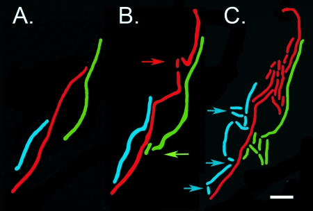 FIG. 5.