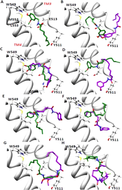 Fig. 8.