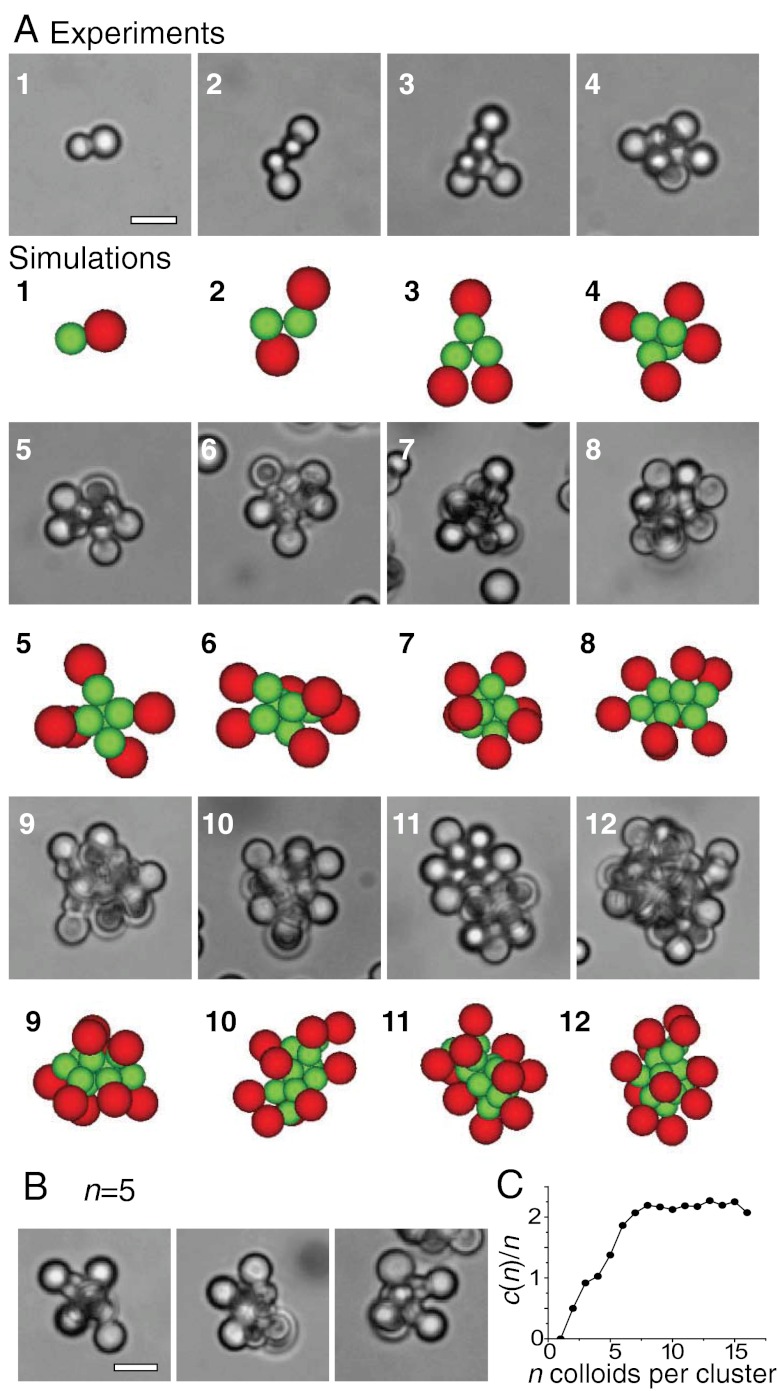 Fig. 2.