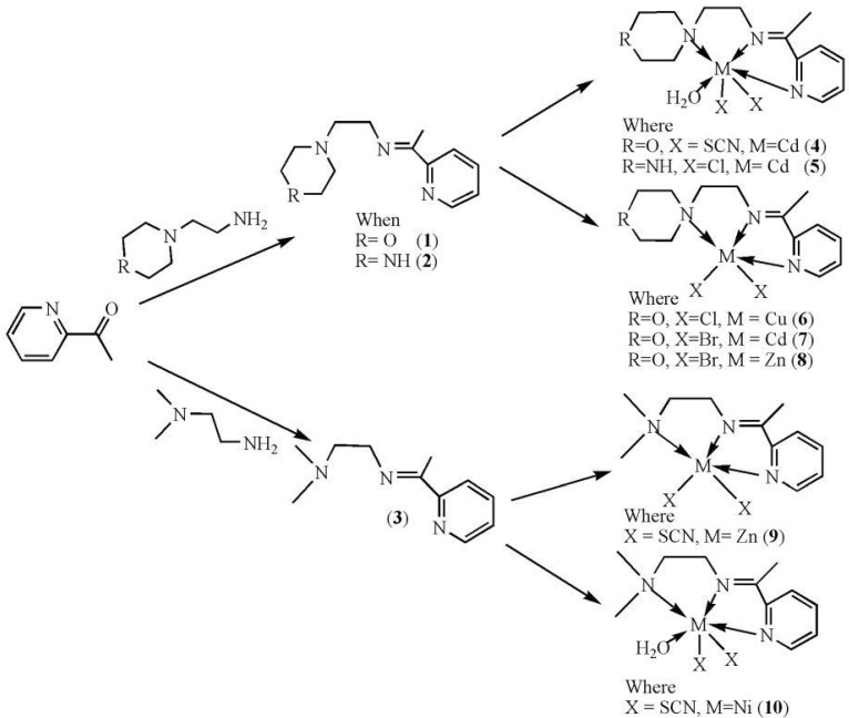 Scheme 1