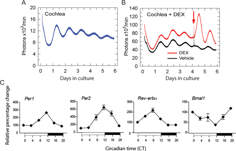 Figure 2.